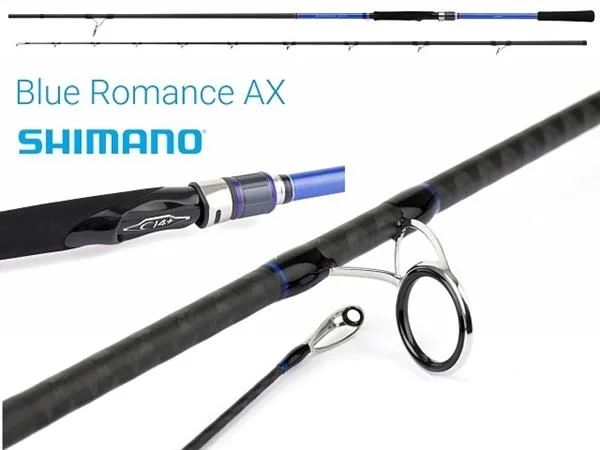 ΚΑΛΑΜΙ BLUE ROMANCE AX JERKBAIT SPINNING 7'0 GR. 10-30